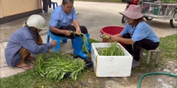 ระยอง เด็ดผักบุ้งเข้าวัดทำบุญ​